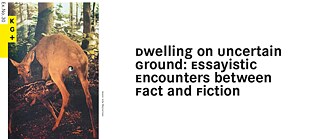 Image: Julia Mejnertsen