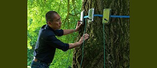 Tony Leung Chiu-wai in "Silent Friend" (2025)