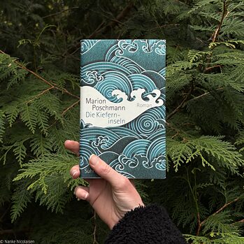 Foto von dem Buch Die Kieferninseln vor einem Nadelbaum. Das Buchcover ist blaulich gefärbt mit Origami-ähnlichen Wellen.