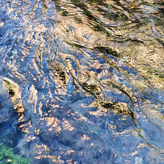 Wasser
