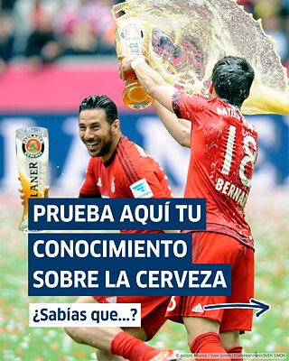 9 datos sobre la cerveza alemana