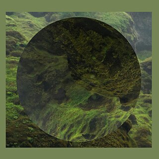 Earth Month Rewilding