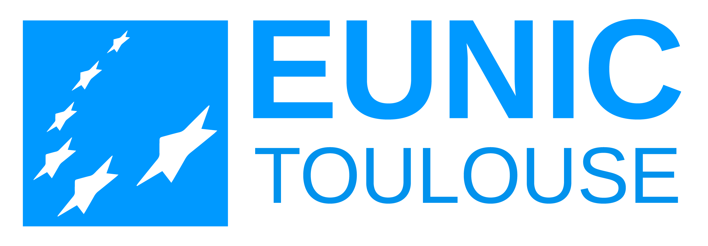 Logo EUNIC 