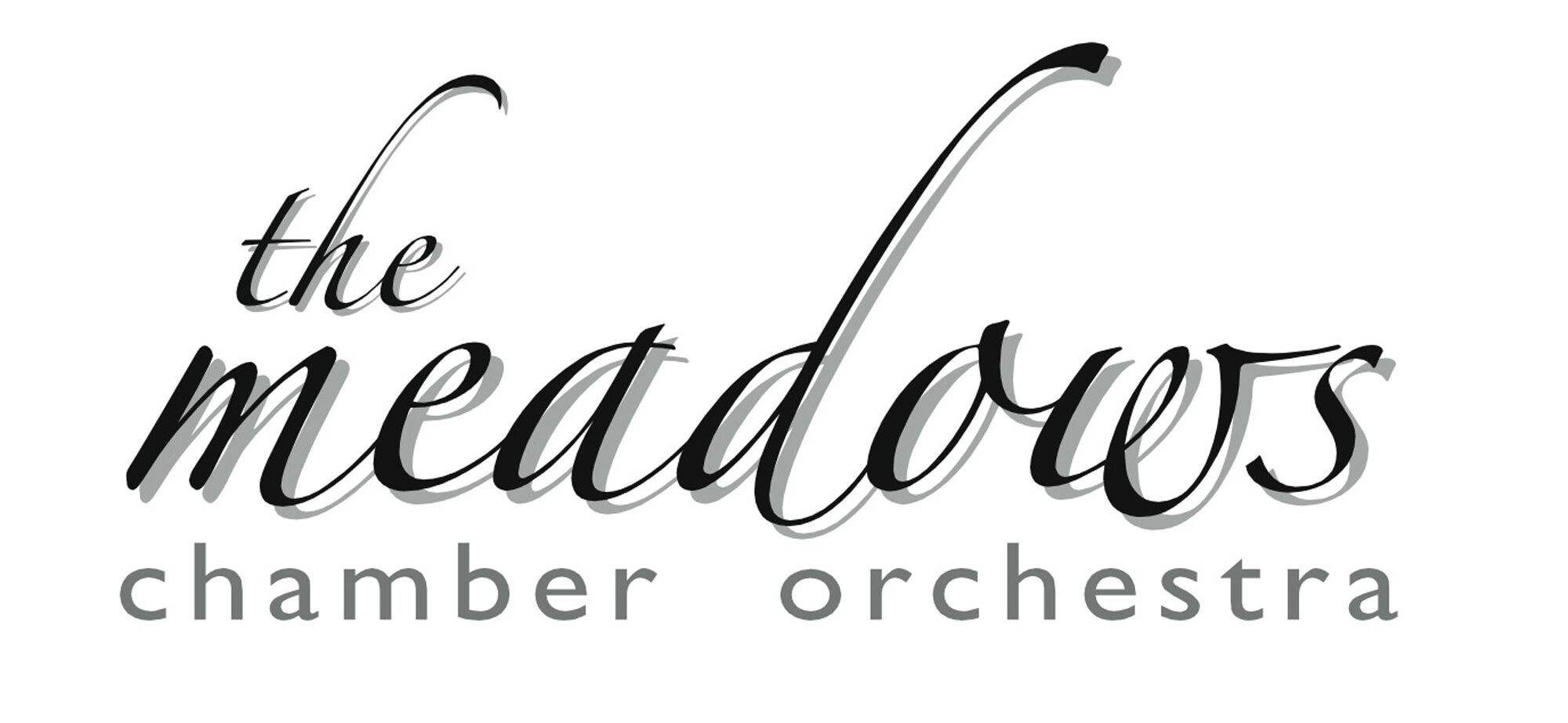The Meadows Chamber Orchestra