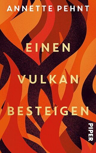 Pehnt: Einen Vulkan besteigen (Cover)