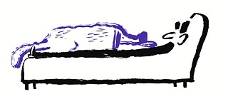 Kafka mit Hund auf dem Bauch auf einem Kanapee