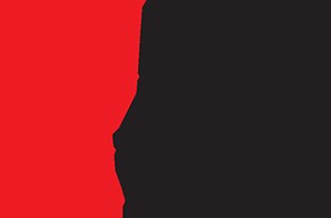 Instytut Polski w Bukareszcie Logo