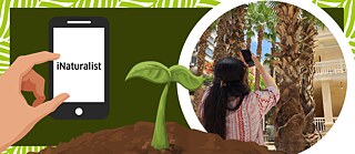 صورة لتطبيق iNaturalist و فيها فتاة تلتقط صورة بهاتفها الذكي