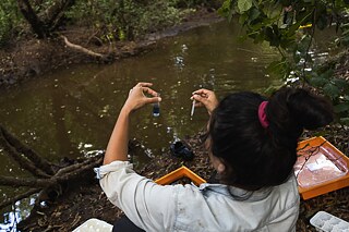 A lo largo del río Cruces, el colectivo Manzana Verde acompaña a los habitantes de la comuna de San José de la Mariquina (región de Los Ríos, sur de Chile) en la evaluación del estado de las aguas.