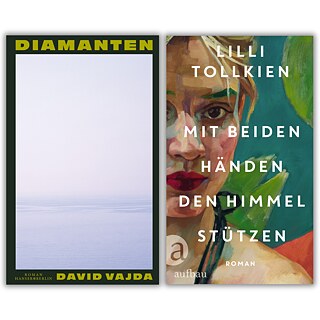 Vaida: Diamanten / Tollkien: Mit beiden Händen den Himmel stützen (book covers)