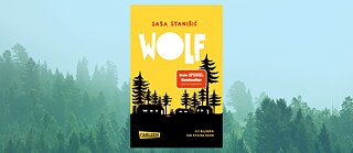 Buchcover „Wolf“ von Saša Stanišić