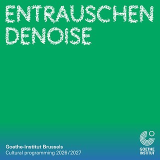 ENTRAUSCHEN – DeNoise