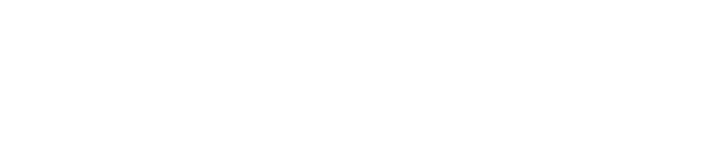 InfoCheck Central Asia Logo