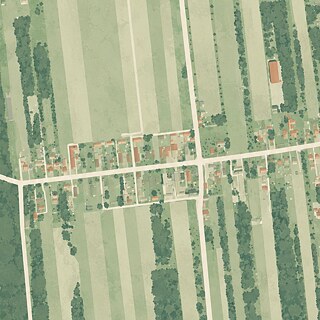 Niwki szkolenie