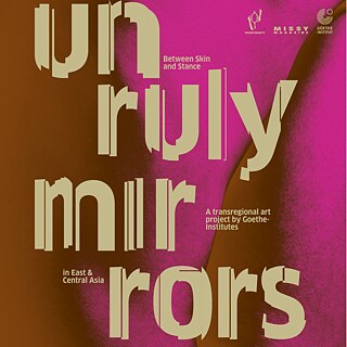 UNRULY MIRRORS