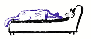 Kafka lying on a sofa with his dog on his belly