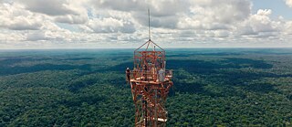 Vista aérea de una torre de medición que se eleva sobre el dosel de una extensa selva tropical. En la plataforma de la torre se observan equipos de investigación y monitoreo. Sobre el horizonte se extiende un paisaje de bosque continuo bajo un cielo cubierto de nubes.