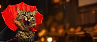 Foto: Banner DTO Halloween 2026_2,3