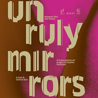 Banner Unruly Mirrors