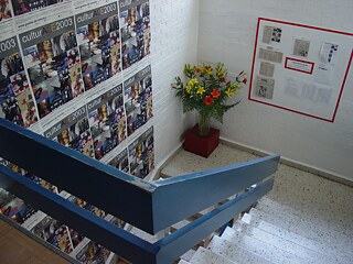  Escaleras azules del edificio.