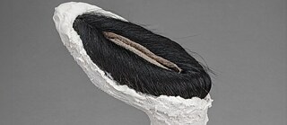 Zu sehen ist eine kleine skulpturale Form aus weißem, rau strukturiertem Material auf einem schmalen Sockel. Auf der Oberseite liegt ein dichtes Bündel schwarzer Haare, das in der Mitte von einer schmalen, hellen Öffnung durchzogen wird und an eine organische, körperhafte Struktur erinnert. 