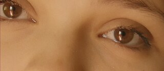 Extrem-Nahaufnahme der braunen Augen einer Person im warmen Licht.