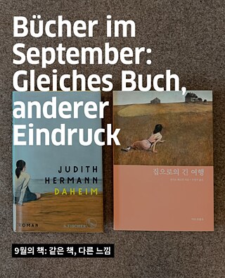 Bücher Empfehlung September