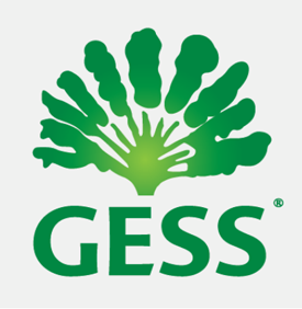 Logo: German European School Singapore