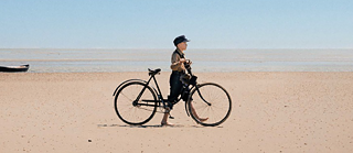 Amrum banner