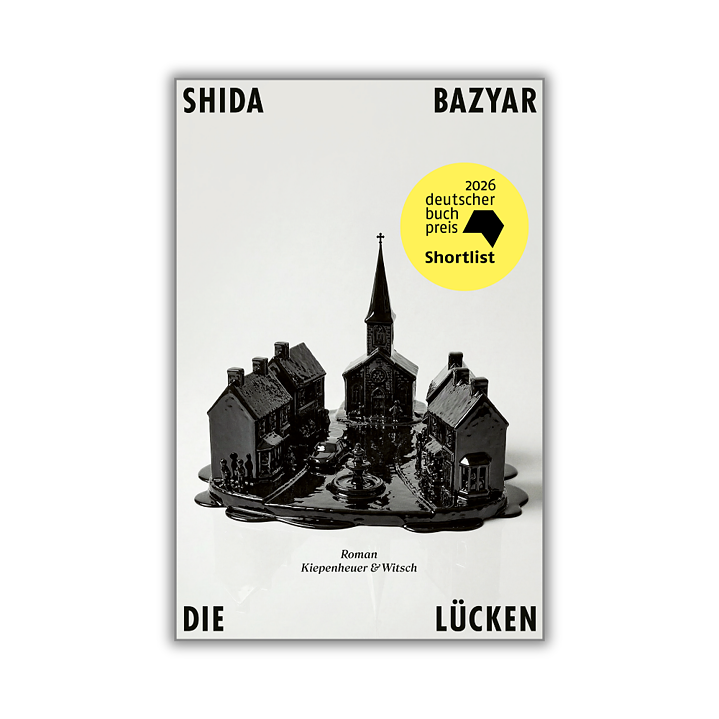 Cover "Die Lücken" von Shida Bazyar