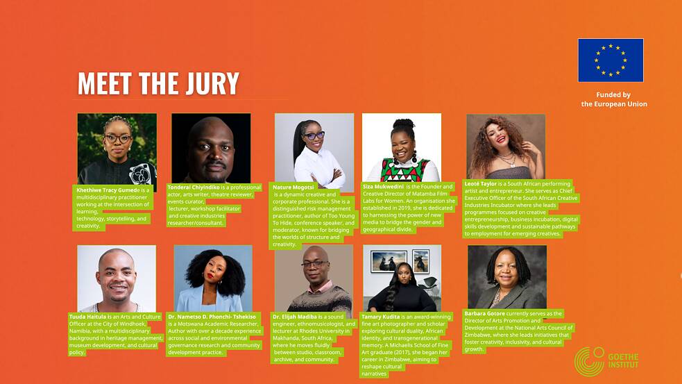 Jury members for grant for Creatives and Artistic Practitioners Round 1