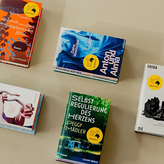 Buchcover neuer Bücher