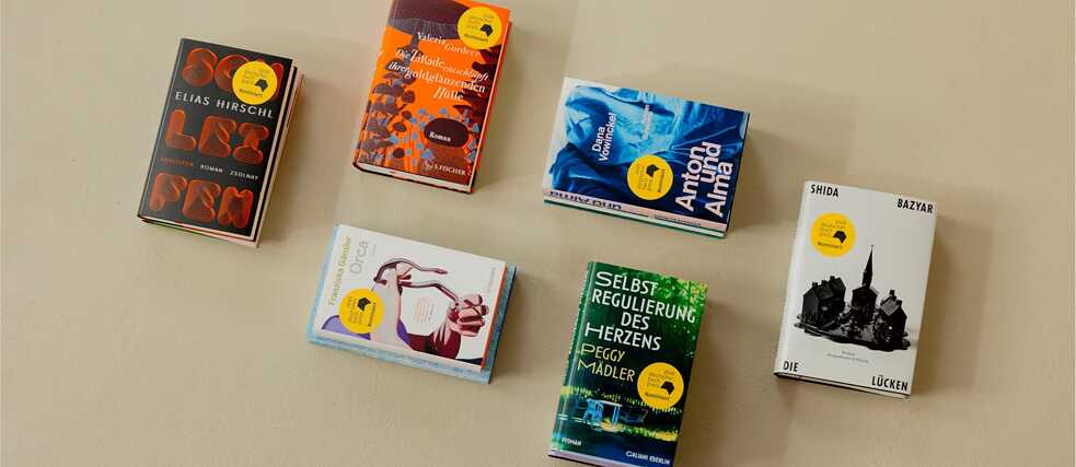 Sechs Bücher der Shortlist des Deutschen Buchpreises 2026 liegen auf einer hellen Oberfläche und sind aus der Vogelperspektive fotografiert.