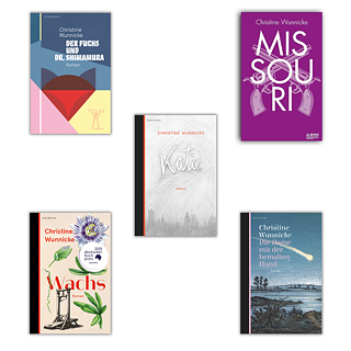 Cover der im Text Bücher 