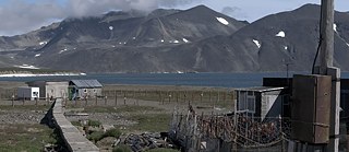 Novoje Tschaplino. Filmstill aus „Chamissos Shatten“, 2016