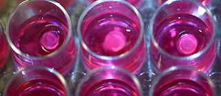 In Vitro Meat Soon To Be Served?