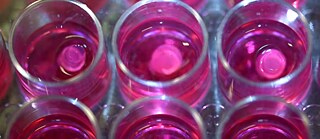 In Vitro Meat Soon To Be Served?