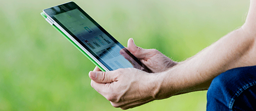 Летние интенсивные курсы