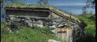 Wolfgang Müller: Stare von Hjertøya singen Kurt Schwitters