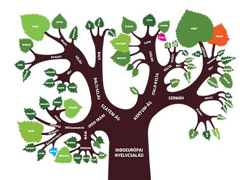 Die indoeuropäische Sprachfamilie