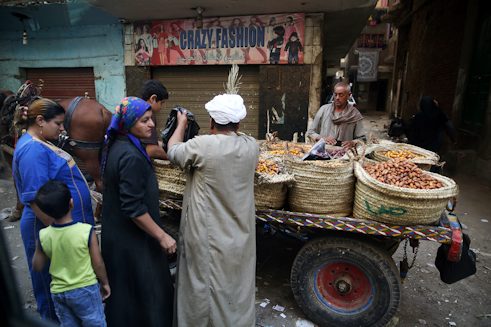 Kairo. Ramūnas Danisevičius