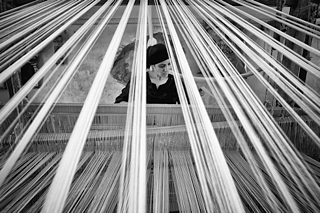 Kairo. Ramūnas Danisevičius