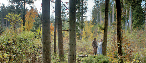 Царство птиц