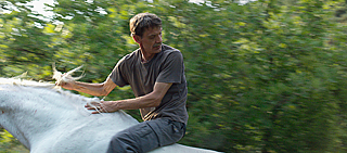 Wie in einem klassischen Western: Der Bauarbeiter Meinhard lernt ein wildes Pferd reiten.