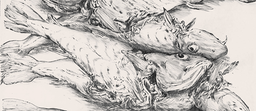 Günter Grass Fünf Dorsche