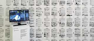 Installation Waterboarding (Frédéric Krauke)