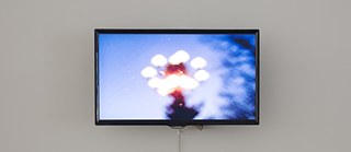 Twilight is the Ashes of Dusk (Ma Qiusha)