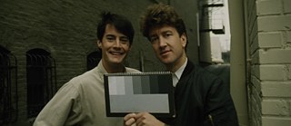 Blue Velvet Revisited &copy; ©Blue Velvet Revisited via the Queensland Art Gallery | Gallery of Modern Art Blue Velvet Revisited