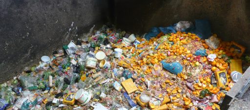 Taste the Waste (2010)