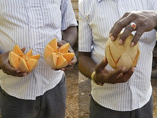 Ingo Gerken - Inspiration Model &copy; © Ingo Gerken Ingo Gerken - Inspiration Model